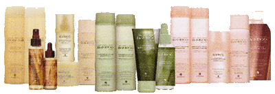 Retail Hair Care Products Beauty Products Below Retail Apex Nc Kj Hair Spa